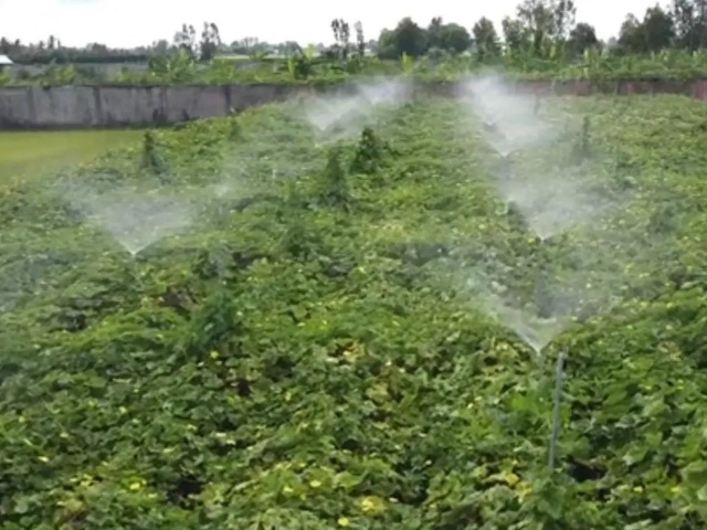 水溶肥施肥原则
