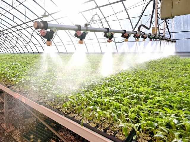 水溶肥厂家怎么选