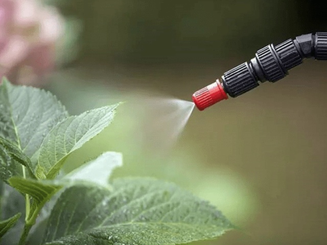 氨基酸叶面水溶肥的作用与优势