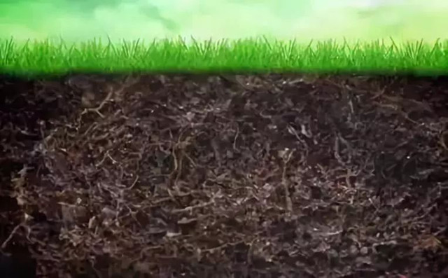 生物有机肥对土壤的改良作用