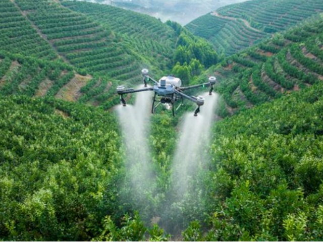 含氨基酸水溶肥优势