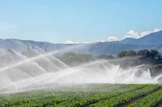 含氨基酸水溶肥优势 含氨基酸水溶肥优势