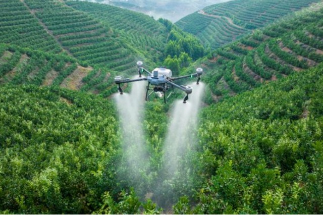 含氨基酸水溶肥优势 含氨基酸水溶肥优势