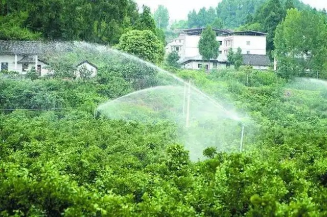中量元素水溶肥施肥要点及注意事项