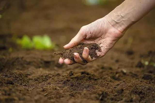 改善土壤结构和功能的方法