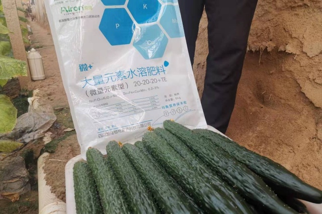 水溶性肥料怎么用？3种常见的水溶肥使用误区