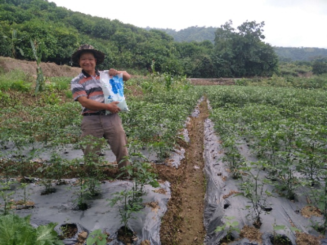 水溶性肥料怎么选？水溶肥选购技巧