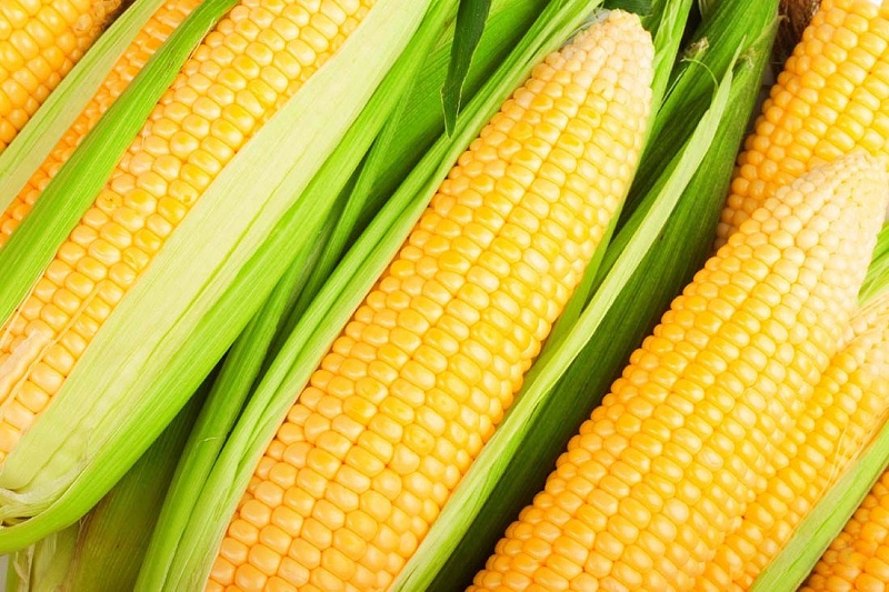 玉米缺钾怎么办