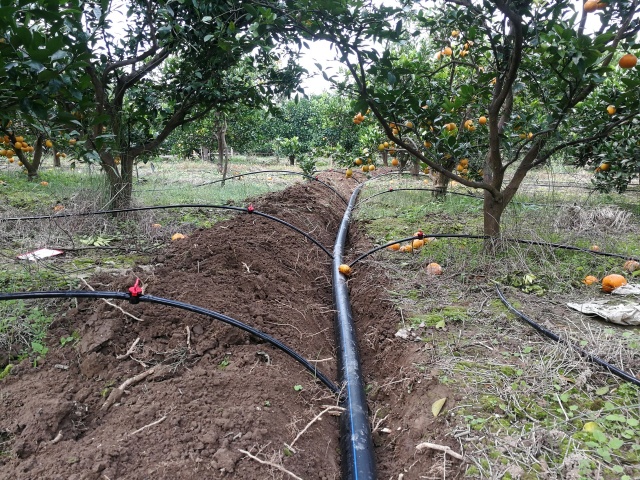 水溶肥是冲施肥吗