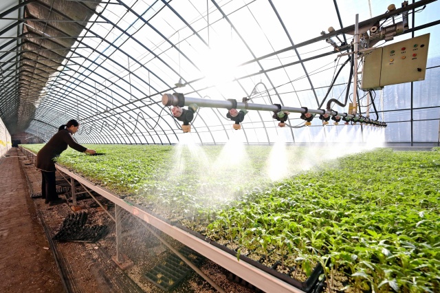 水溶肥是冲施肥吗