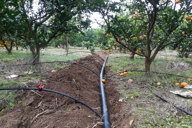 水溶肥是冲施肥吗