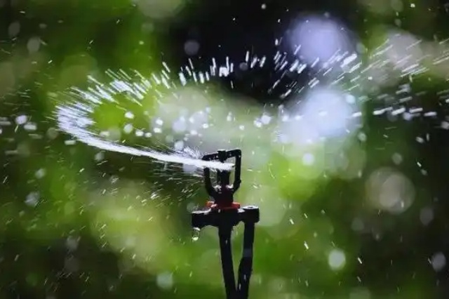 水溶肥科学施用技术要点