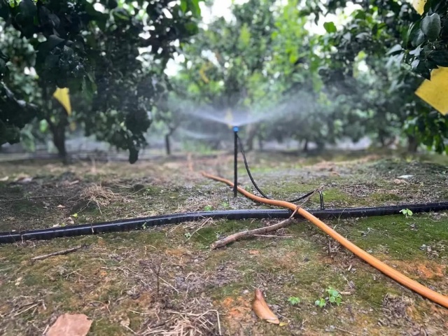 水溶肥的优势、正确使用方法及使用禁忌