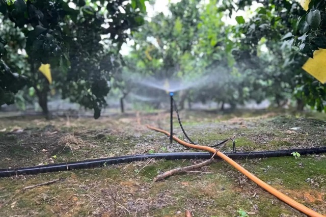 水溶肥的优势、正确使用方法及使用禁忌