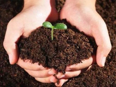 土壤酸碱度对肥料肥效具有巨大影响，施肥前需考虑土壤酸碱度