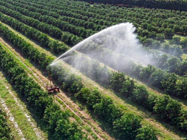 含氨基酸水溶肥的4大优势