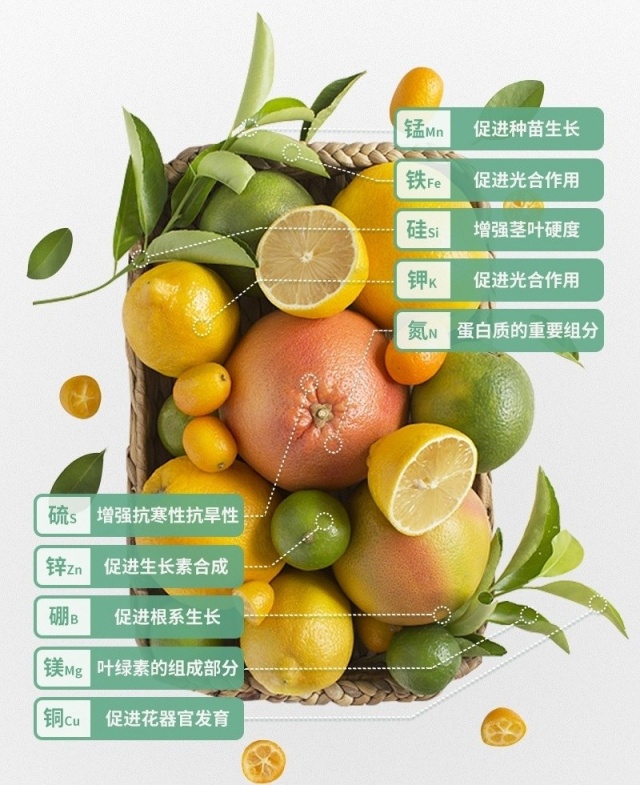 微肥的作用和使用方法