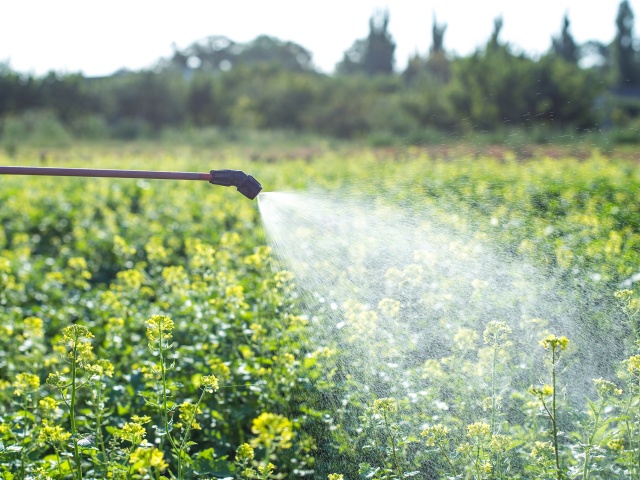 水溶肥的施肥禁忌及科学施用要点