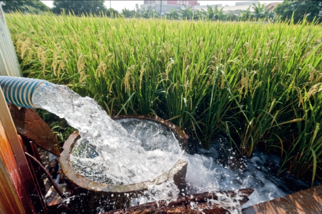 水溶肥与冲施肥的区别
