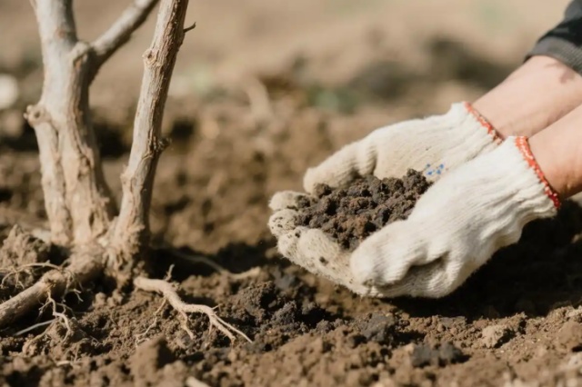 作物营养缺失防治