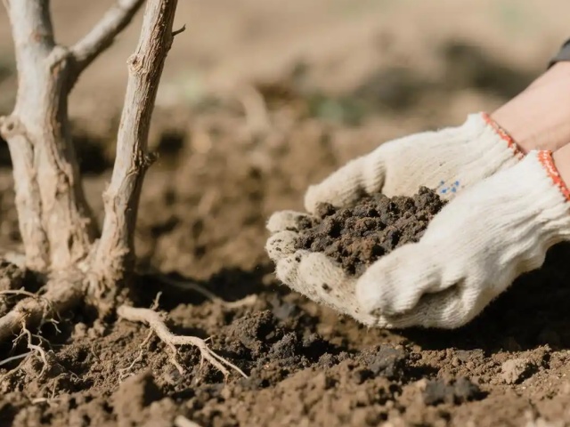 作物营养缺失防治