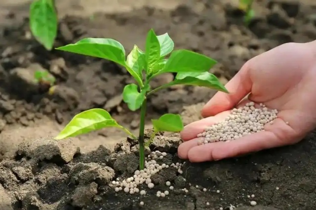 作物营养缺失防治