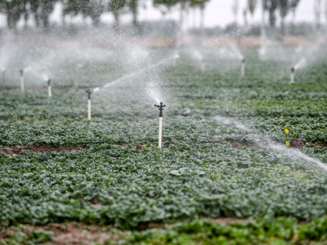 水溶肥选购要点教你辨别真假