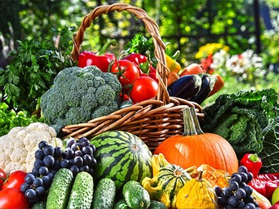 微生物肥料对蔬菜水果口感的影响