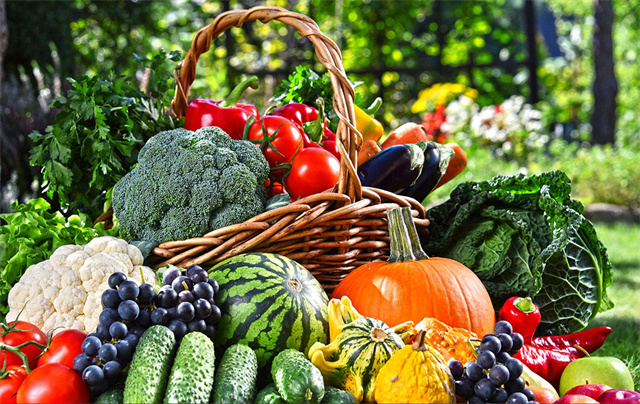 微生物肥料对蔬菜水果口感的影响