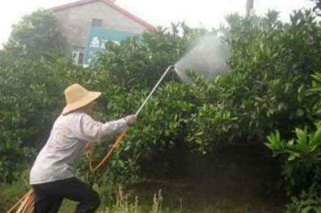 叶面施肥误区与要点