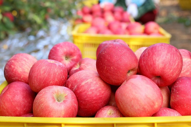 水溶肥好坏判断