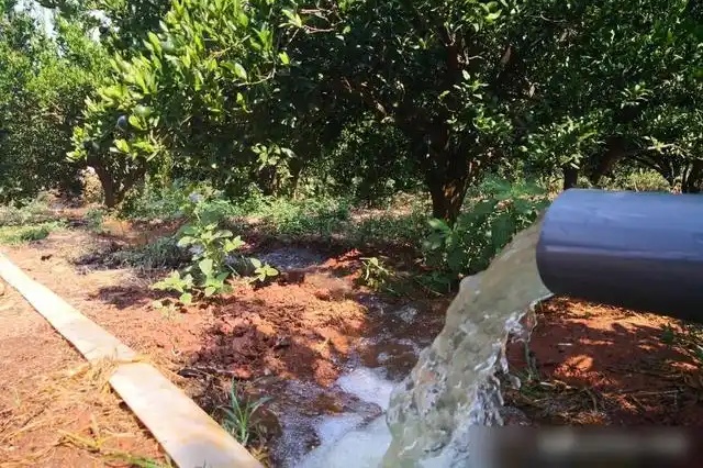 水溶肥与土壤有机质