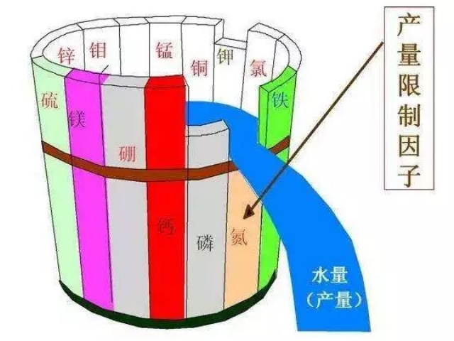 中微量元素肥料的作用
