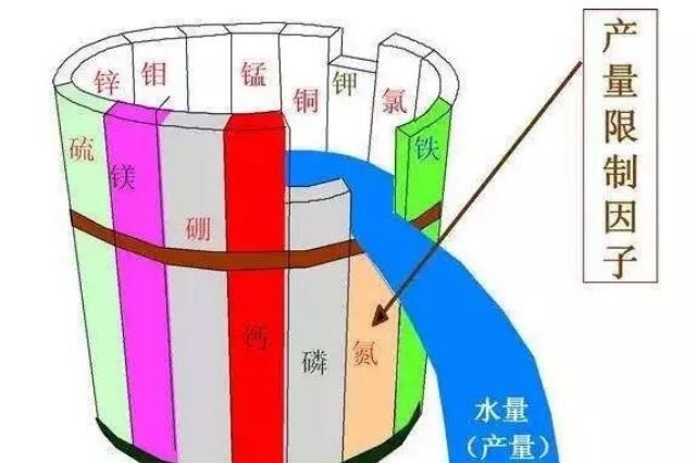中微量元素肥料的作用