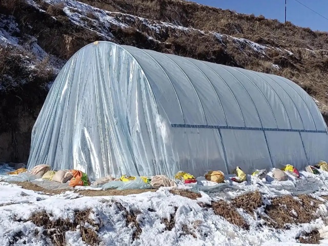 塑料大棚蔬菜冬季生产技术