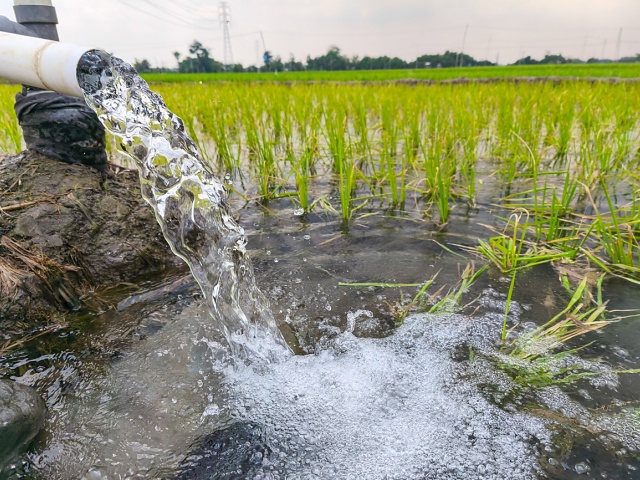 冲施肥是水溶肥吗