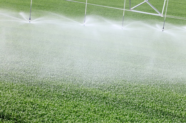 冲施肥是水溶肥吗