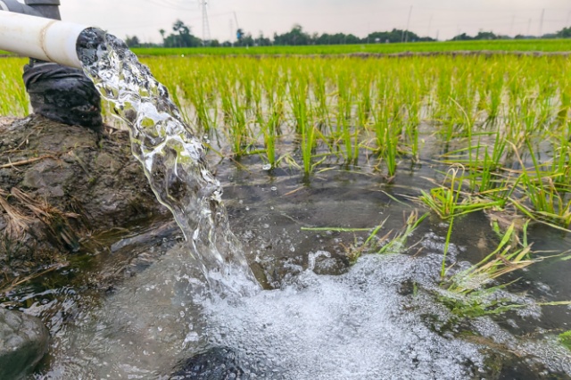 冲施肥和水溶肥的区别