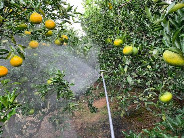 含腐植酸水溶肥的功能优势