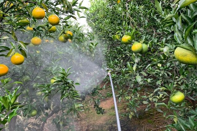 含腐植酸水溶肥的功能优势