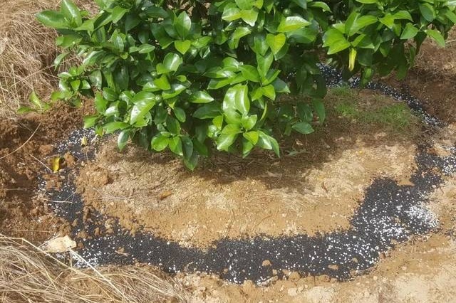 田间常见施肥方式