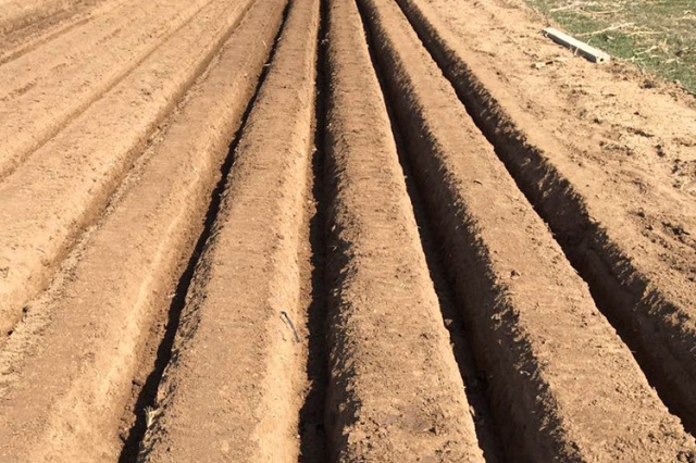 田间常见施肥方式