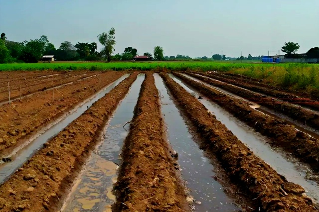 田间常见施肥方式