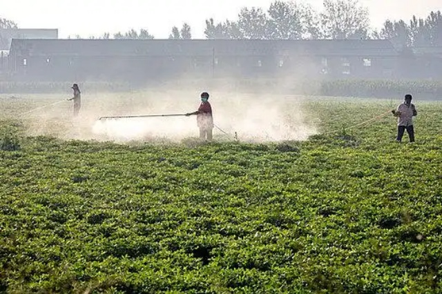 田间常见施肥方式