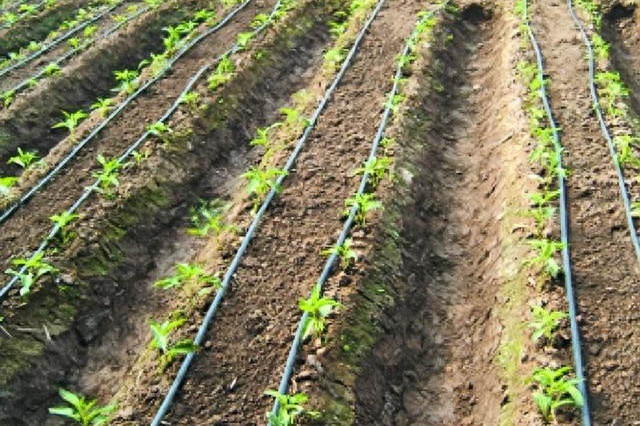 田间常见施肥方式