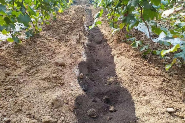 田间常见施肥方式