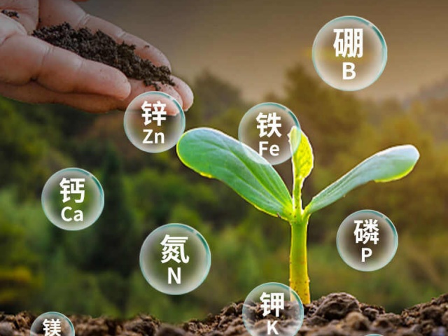 作物中微量元素缺乏原因及补充的必要性