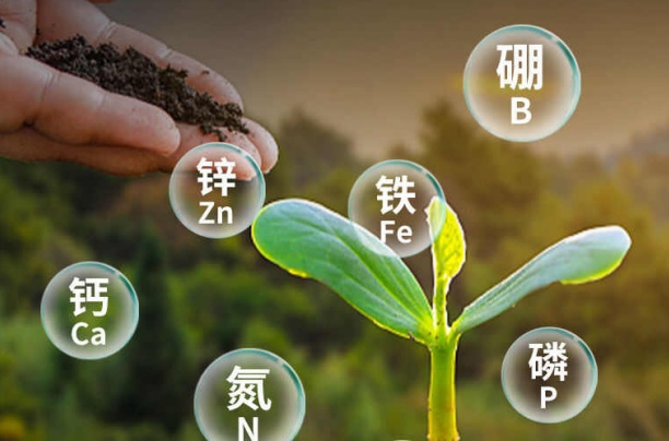 作物中微量元素缺乏原因及补充的必要性