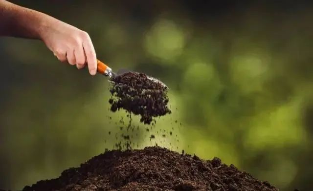 微生物菌肥是如何发挥作用的?