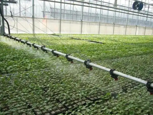 水溶肥的种类与选择